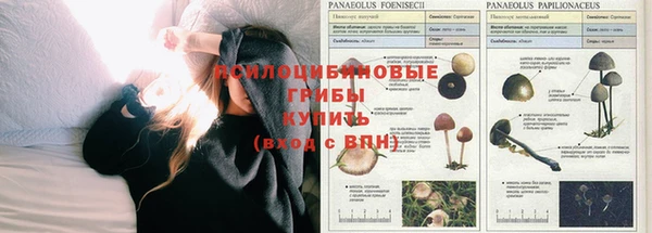 соль ск Заволжск
