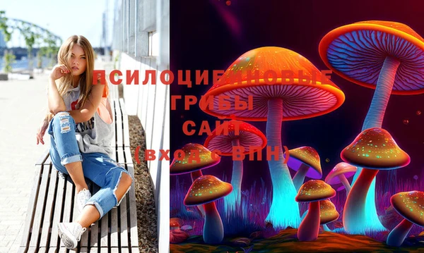 первитин Ельня