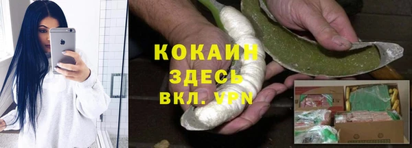 ПСИЛОЦИБИНОВЫЕ ГРИБЫ Елабуга