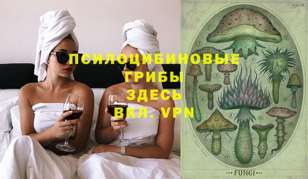 первитин Ельня