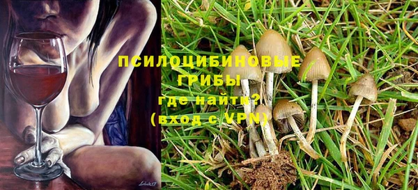 ПСИЛОЦИБИНОВЫЕ ГРИБЫ Елабуга